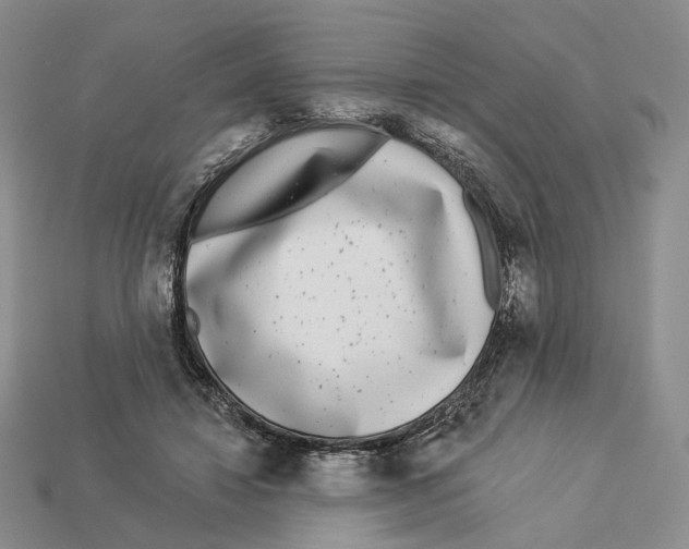 X0000112940452200909211137
