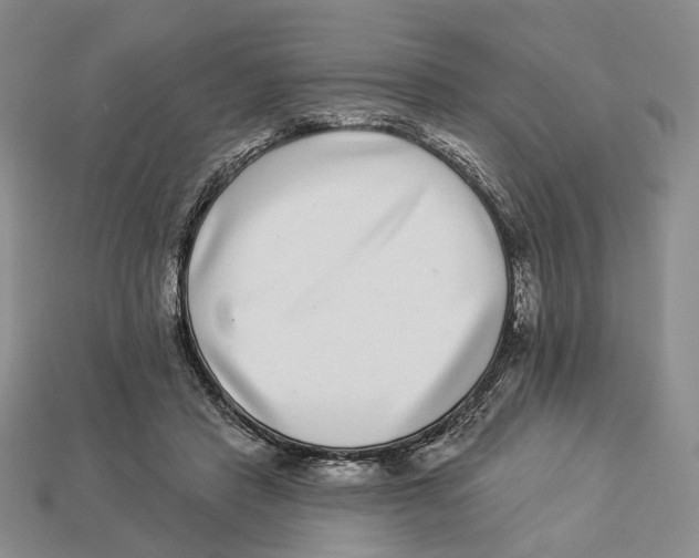 X0000112940453200909211137
