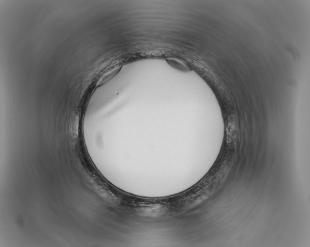 X0000112940454200909211137