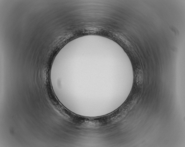 X0000112940455200909211137