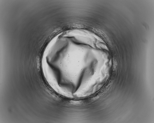 X0000112940457200909211137