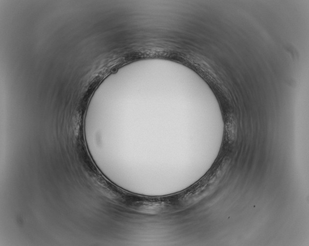 X0000112940458200909211137