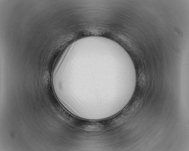 X0000112940459200909211137