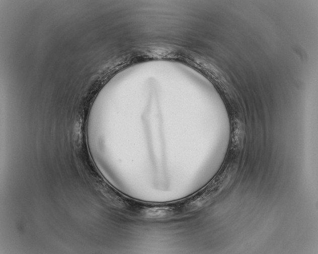 X0000112940461200909211137