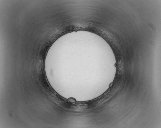 X0000112940463200909211137