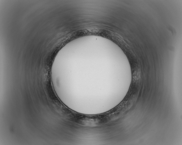 X0000112940464200909211137
