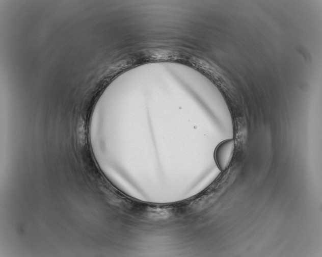 X0000112940469200909211137
