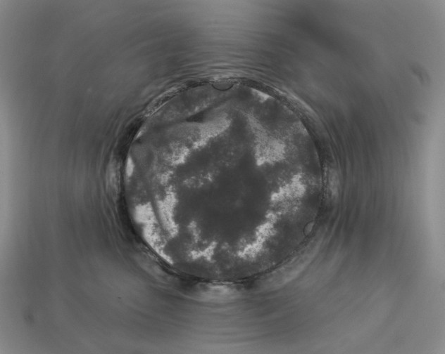 X0000112940475200909211137