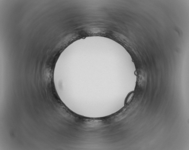 X0000112940476200909211137