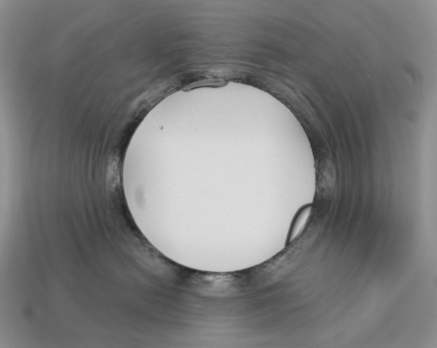 X0000112940478200909211137