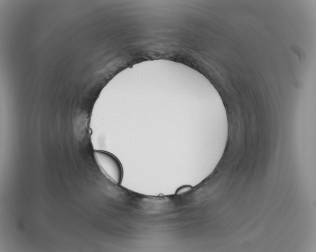 X0000112940480200909211138