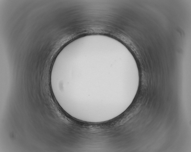 X0000112940481200909211137