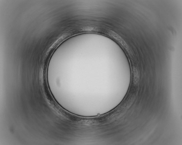X0000112940482200909211137
