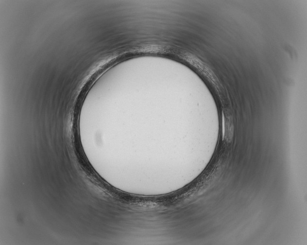 X0000112940483200909211137