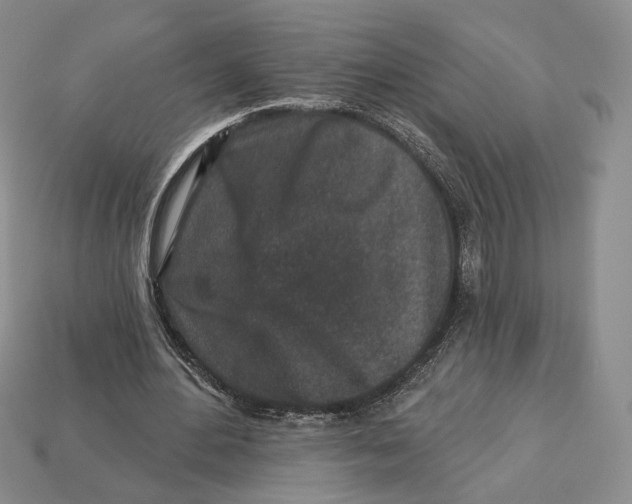 X0000112940484200909211137