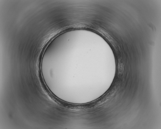 X0000112940485200909211137
