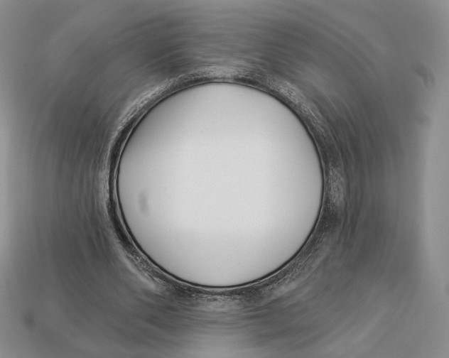 X0000112940486200909211137