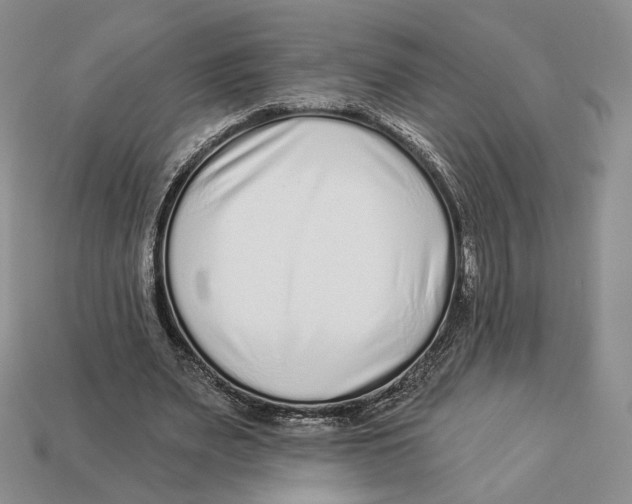 X0000112940487200909211137