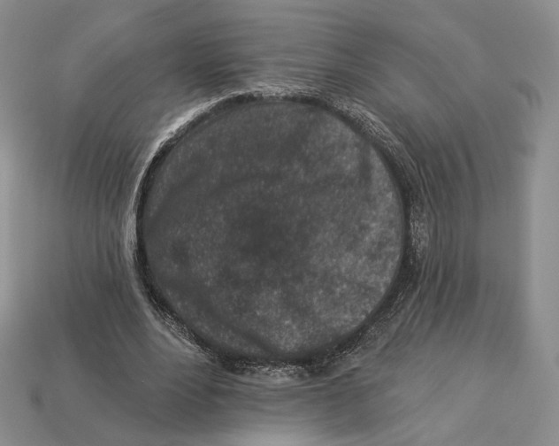 X0000112940488200909211137