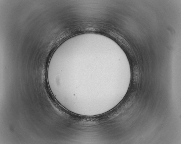 X0000112940489200909211137