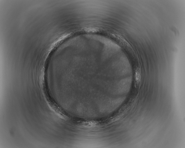 X0000112940492200909211137
