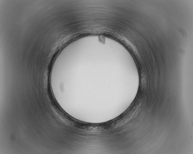 X0000112940493200909211137