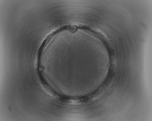 X0000112940496200909211137