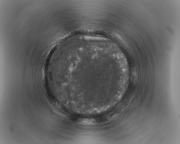 X0000112940500200909211137