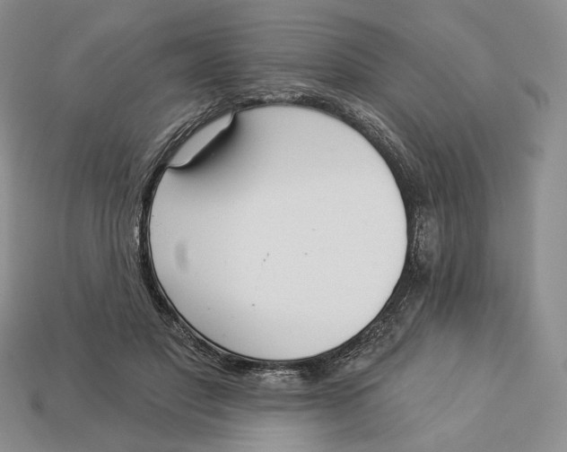 X0000112940501200909211137