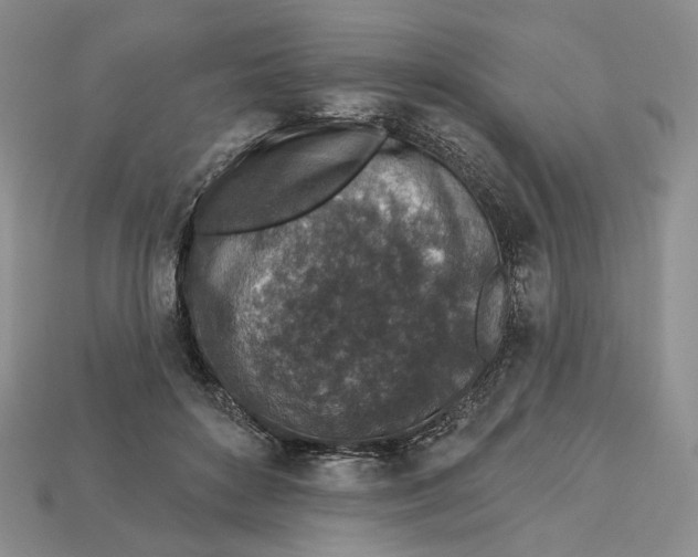 X0000112940504200909211137