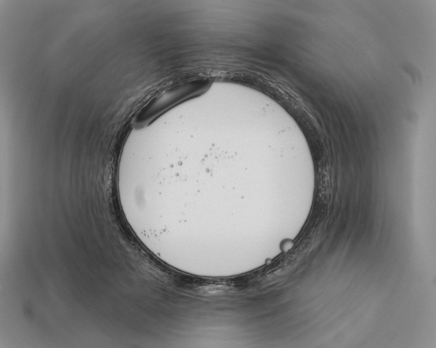 X0000112940505200909211137