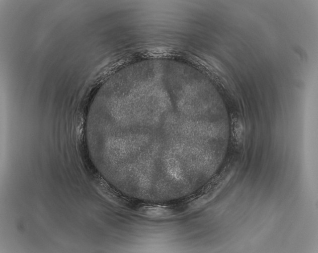 X0000112940507200909211137