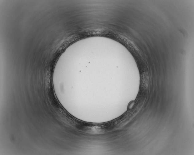 X0000112940509200909211137