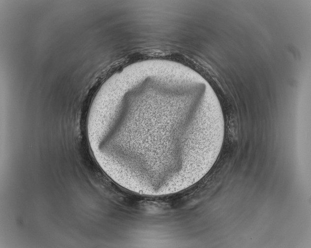 X0000112940512200909211136