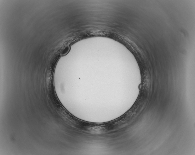 X0000112940513200909211136