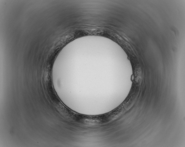 X0000112940515200909211136