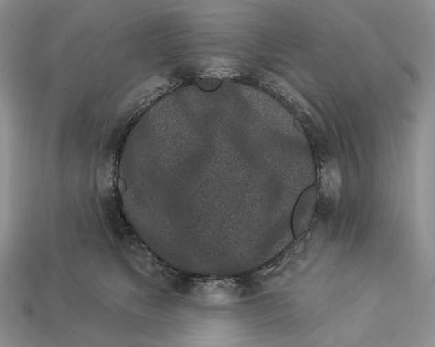 X0000112940517200909211136