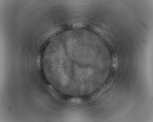 X0000112940519200909211136