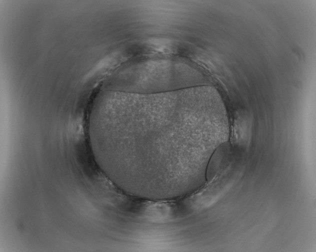 X0000112940520200909211136