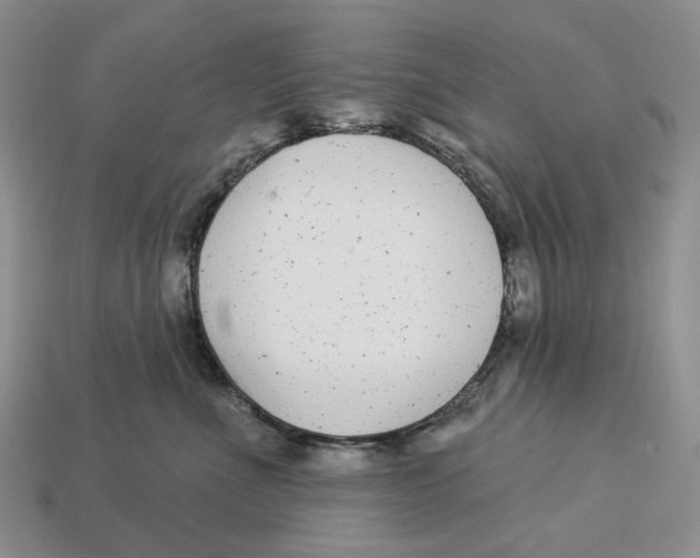 X0000112940523200909211136