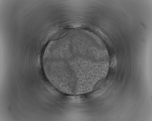 X0000112940524200909211136