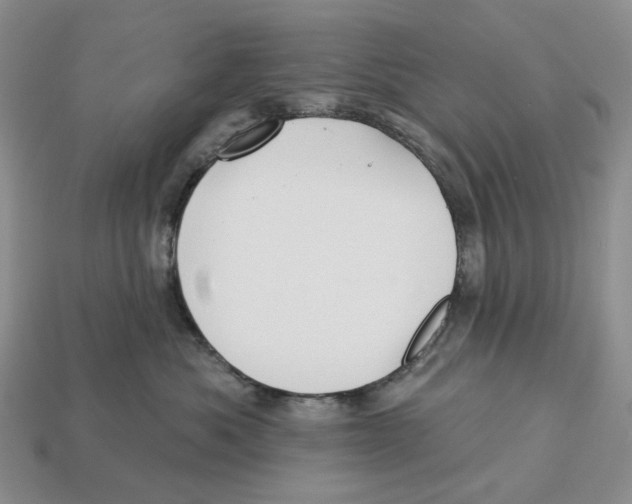 X0000112940525200909211136