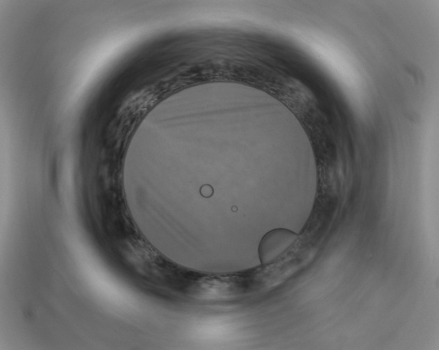 X0000112940526200909211136