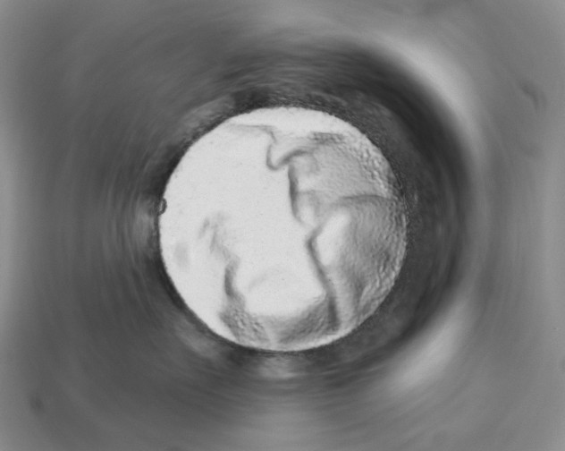X0000112940527200909211136