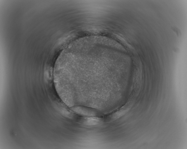 X0000112940528200909211136