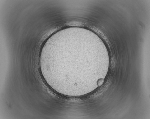 X0000112940529200909211136