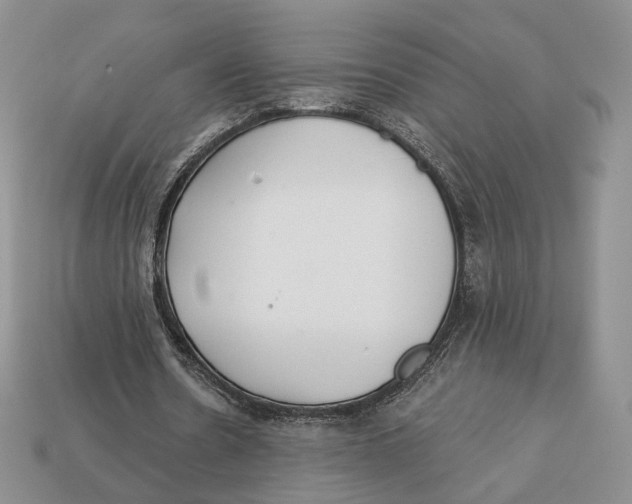 X0000112940530200909211136