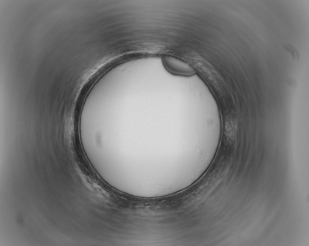 X0000112940532200909211136