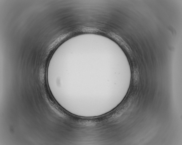 X0000112940533200909211136