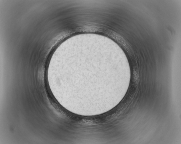 X0000112940534200909211136